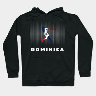 Dominica Retro Baseball Design I Love Dominican Men Women Hoodie